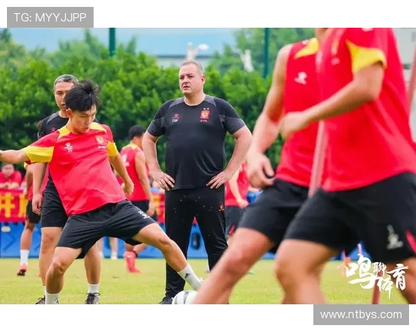 广州排球队战术引发热议球迷与专家各执己见的背后故事